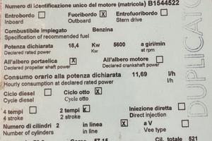 Evinrude 25/35 – LEGGI BENE