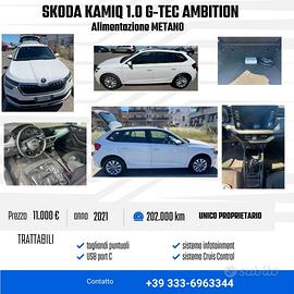 SKODA Kamiq - 2021