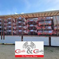 TRINCIA Del Morino - PRONTA CONSEGNA