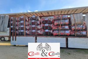 TRINCIA Del Morino - PRONTA CONSEGNA