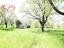 Immagine 12