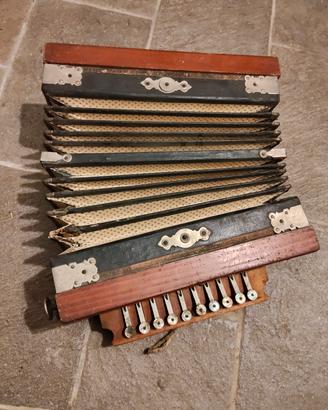organetto o fisarmonica 