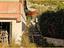 Immagine 11