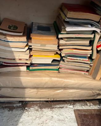 Libri