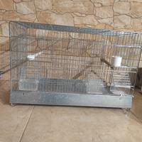 Gabbia pe piccoli uccelli 