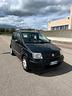 fiat-panda-1-2-gpl