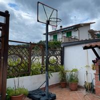canestro basket