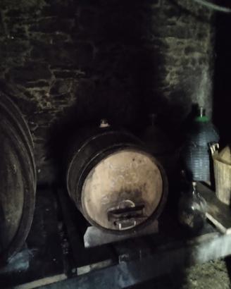 botte in castagno più n 2 barrique