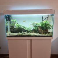 Acquario Askoll 200lt