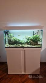 Acquario Askoll 200lt
