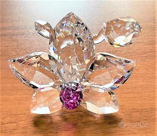 Swarovski, ORCHIDEA