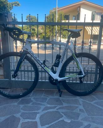 Pinarello