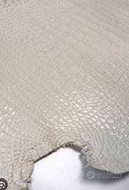 pelle di alligatore bianco