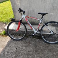 MTB Bottecchia da sistemare