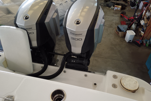 Motori fuoribordo evinrude 300 hp G2