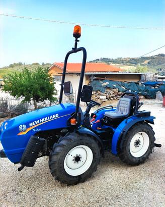 Trattore New Holland 25
