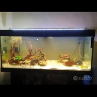acquario juwel 240