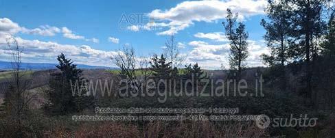 Terreno Agricolo Piancastagnaio [A4345767] - Vista 4