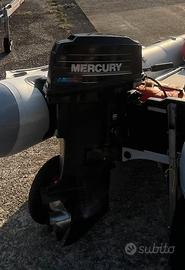 Motore Mercury 25cv
