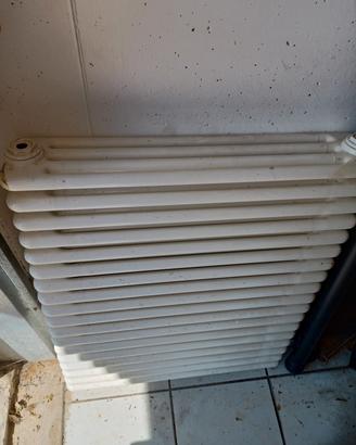 Radiatore Orizzontale a Doppia Colonna - Bianco