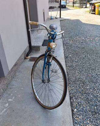 bicicletta da uomo 