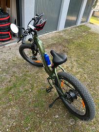 Fat bike