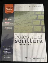 Palestra di scrittura
