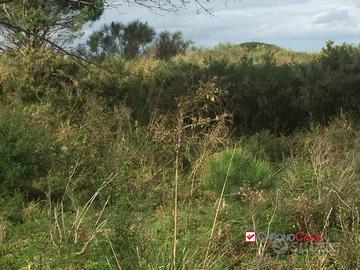 Terreno a Castanea Rif.MFE-5493