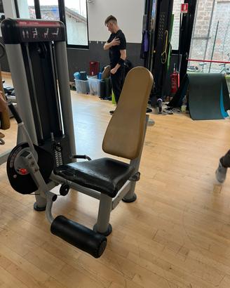 Leg extension Panatta