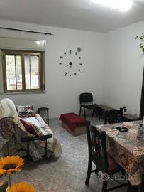 Zona centro bivani arredato buono stato