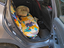 Immagine 5