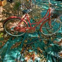 biciclette belle o da restauro varie unità
