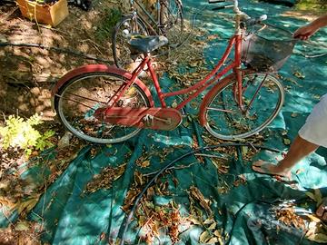 biciclette belle o da restauro varie unità