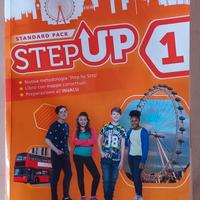 Step up 1