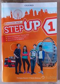 Step up 1