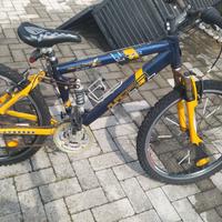 Bicicletta Aurora 24'' 