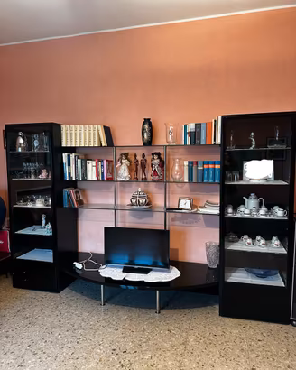 Mobile salotto con vetrine