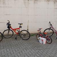 MTB varie taglie: Uomo, Donna, Ragazzo/a e Bambino