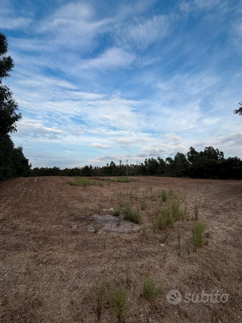 Terreno a Grui Maiori, Arborea - Vista 5