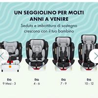 Babify Onboard Seggiolino Auto Girevole 0-36kg