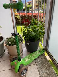 Mini Micro Deluxe monopattino verde