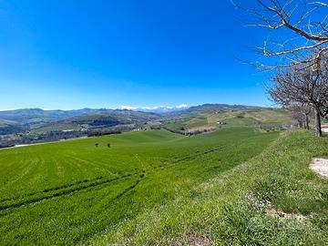 Terreno agricolo di 31,9 ettari in zona strategica