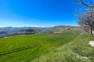 Terreno agricolo di 31,9 ettari in zona strategica