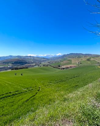 Terreno agricolo di 31,9 ettari in zona strategica