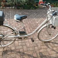bicicletta elettrica 