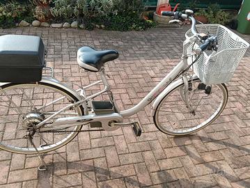 bicicletta elettrica 