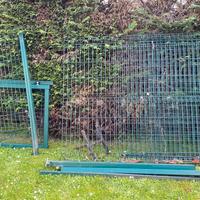 N 4 pezzi rete Orsogrill verde con cancello