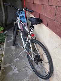 Mountain bike uomo