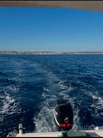 Motore fuoribordo mercury 40/60 efi 1.050 ore