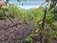 Immagine 25